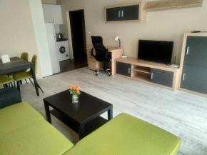 Luxury Apartment Daniel